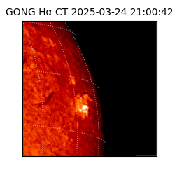 gong - 2025-03-24T21:00:42