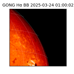gong - 2025-03-24T01:00:02