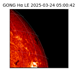 gong - 2025-03-24T05:00:42