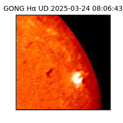 gong - 2025-03-24T08:06:43