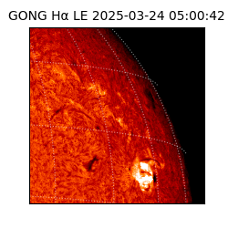 gong - 2025-03-24T05:00:42