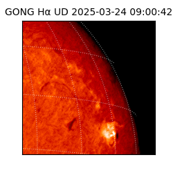 gong - 2025-03-24T09:00:42