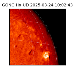 gong - 2025-03-24T10:02:43