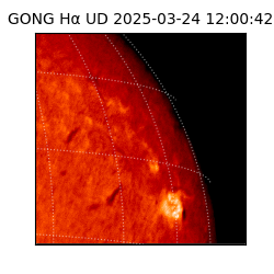 gong - 2025-03-24T12:00:42