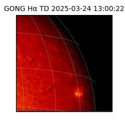 gong - 2025-03-24T13:00:22