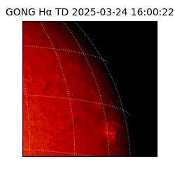 gong - 2025-03-24T16:00:22