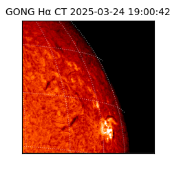 gong - 2025-03-24T19:00:42