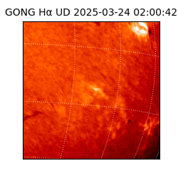 gong - 2025-03-24T02:00:42