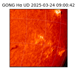 gong - 2025-03-24T09:00:42