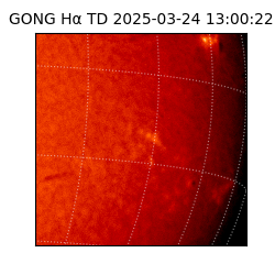 gong - 2025-03-24T13:00:22