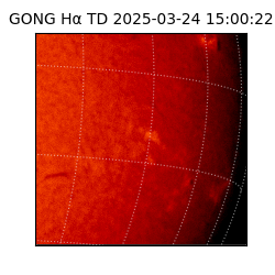 gong - 2025-03-24T15:00:22