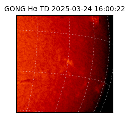 gong - 2025-03-24T16:00:22
