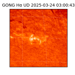 gong - 2025-03-24T03:00:43