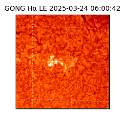 gong - 2025-03-24T06:00:42