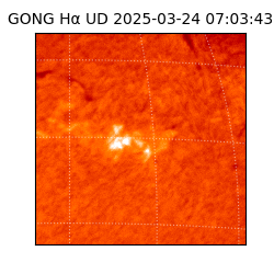 gong - 2025-03-24T07:03:43