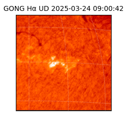 gong - 2025-03-24T09:00:42