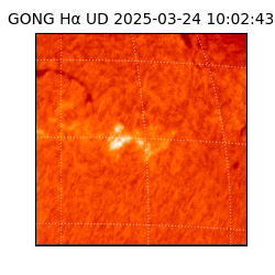 gong - 2025-03-24T10:02:43