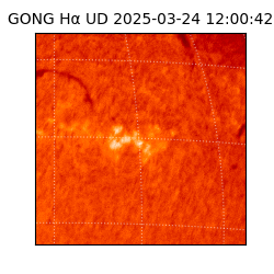 gong - 2025-03-24T12:00:42