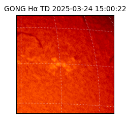 gong - 2025-03-24T15:00:22