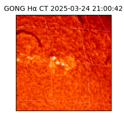 gong - 2025-03-24T21:00:42