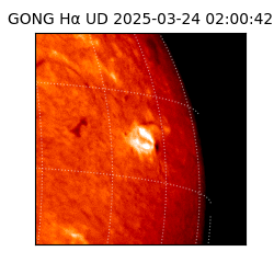 gong - 2025-03-24T02:00:42