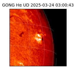 gong - 2025-03-24T03:00:43