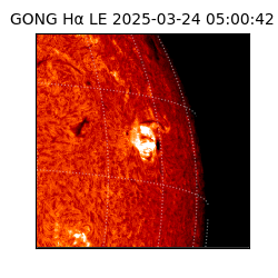 gong - 2025-03-24T05:00:42