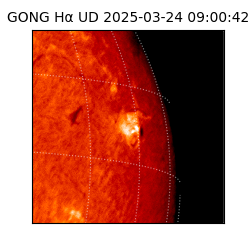 gong - 2025-03-24T09:00:42