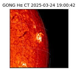 gong - 2025-03-24T19:00:42