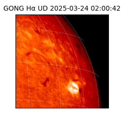 gong - 2025-03-24T02:00:42