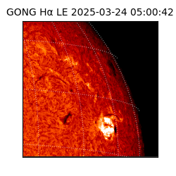 gong - 2025-03-24T05:00:42