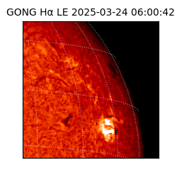 gong - 2025-03-24T06:00:42