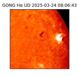 gong - 2025-03-24T08:06:43