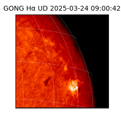 gong - 2025-03-24T09:00:42