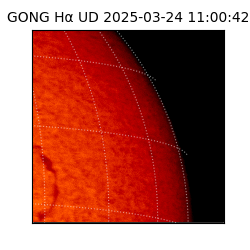 gong - 2025-03-24T11:00:42