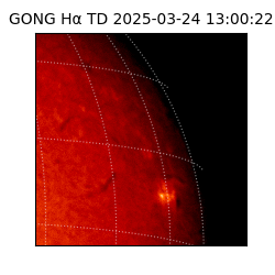 gong - 2025-03-24T13:00:22