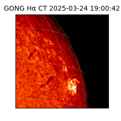 gong - 2025-03-24T19:00:42