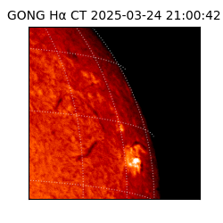 gong - 2025-03-24T21:00:42