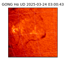 gong - 2025-03-24T03:00:43