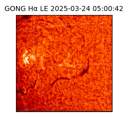 gong - 2025-03-24T05:00:42