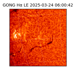 gong - 2025-03-24T06:00:42