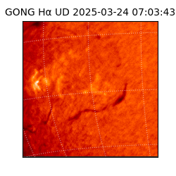 gong - 2025-03-24T07:03:43