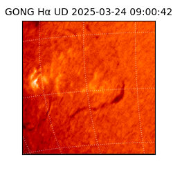 gong - 2025-03-24T09:00:42