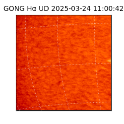 gong - 2025-03-24T11:00:42
