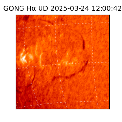 gong - 2025-03-24T12:00:42