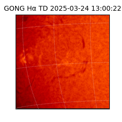 gong - 2025-03-24T13:00:22