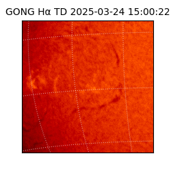 gong - 2025-03-24T15:00:22