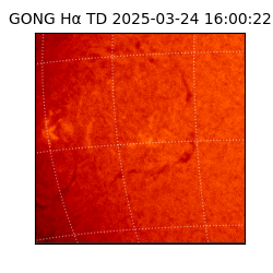 gong - 2025-03-24T16:00:22