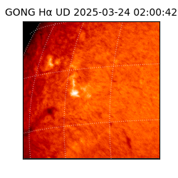gong - 2025-03-24T02:00:42