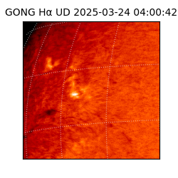 gong - 2025-03-24T04:00:42